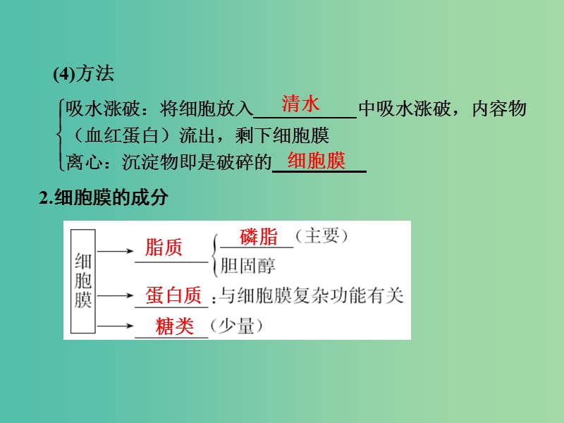 高考生物一轮复习 第2单元 细胞的基本结构与物质运输 第5讲 细胞膜与细胞核课件 新人教版.ppt_第3页