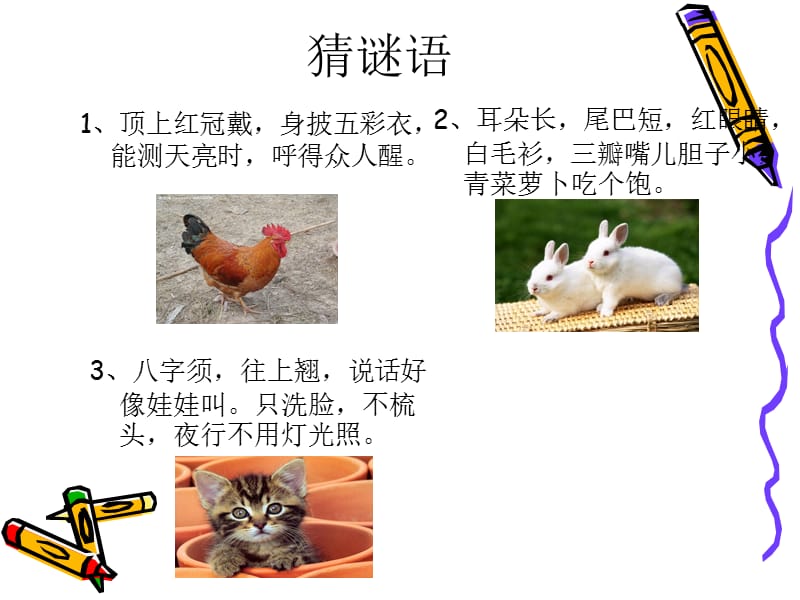 作文指导-写一种小动物PPT课件-.ppt_第2页