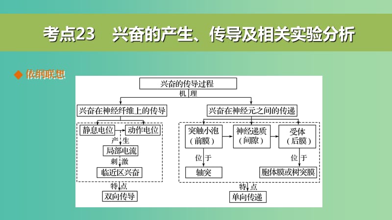 高考生物二轮复习 考前三个月 专题7 人体的稳态及调节机制 考点23 兴奋的产生、传导及相关实验分析课件.ppt_第2页