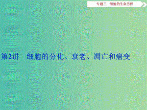 （浙江專用）高考生物二輪復(fù)習(xí) 專題三 細胞的生命歷程 第2講 細胞的分化、衰老、凋亡和癌變課件.ppt