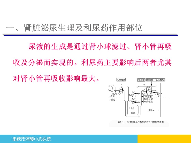 利尿、脱水及降颅压药物.ppt_第3页