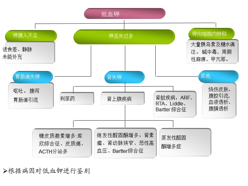 原发性醛固酮增多症的鉴别.ppt_第2页