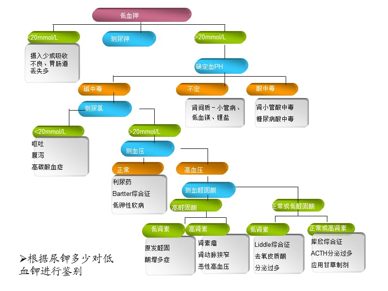 原发性醛固酮增多症的鉴别.ppt_第3页