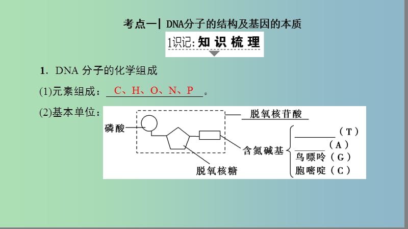 高三生物一轮复习第6单元第2讲DNA分子的结构复制与基因的本质课件新人教版.ppt_第2页