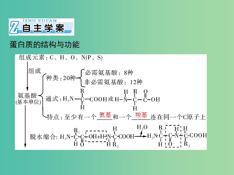 高考生物一轮总复习 第2章 第2节 生命活动的主要承担者 蛋白质课件（必修1）.ppt_第2页