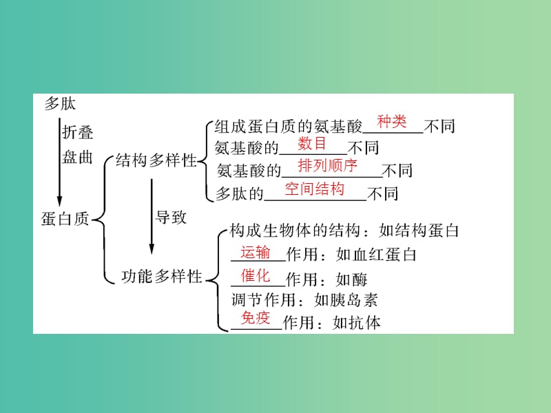 高考生物一轮总复习 第2章 第2节 生命活动的主要承担者 蛋白质课件（必修1）.ppt_第3页