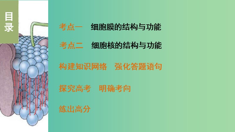 高考生物 细胞膜与细胞核课件 新人教版必修1.ppt_第2页