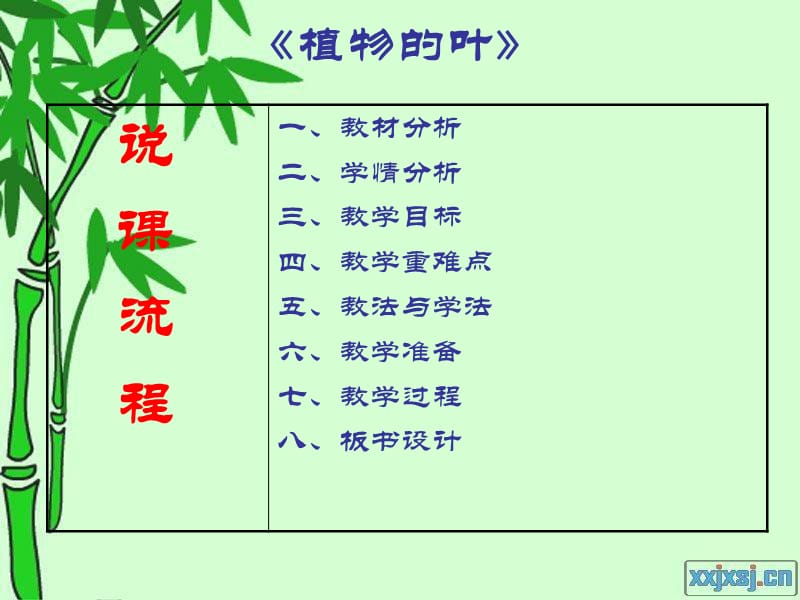 《植物的叶》-说课稿.ppt_第2页