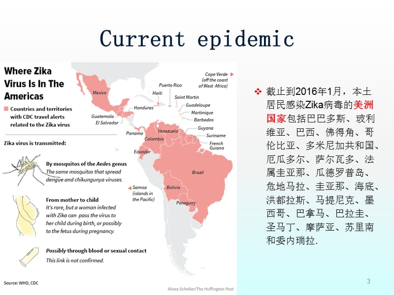 赛卡病毒ppt课件_第3页