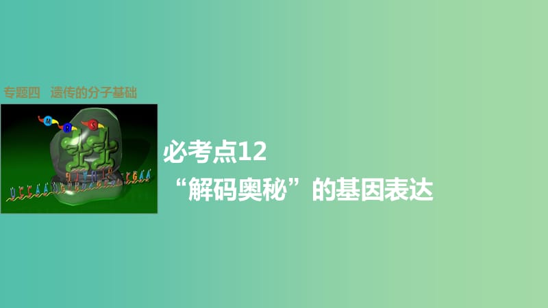 高考生物大二轮总复习 增分策略 专题四 必考点12“解码奥秘”的基因表达课件.ppt_第1页