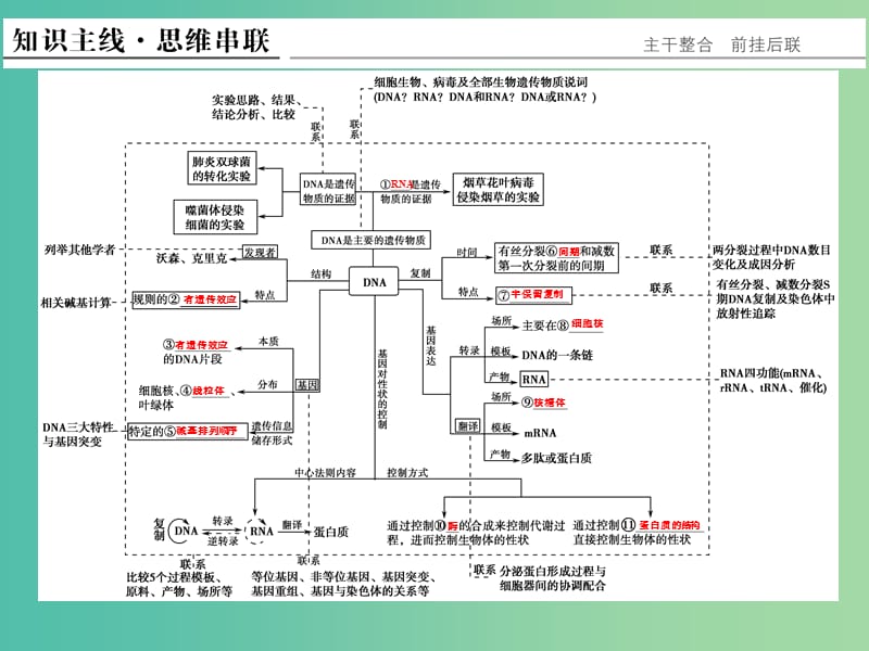 高考生物二轮复习 第三单元 专题一 遗传的分子基础课件.ppt_第2页