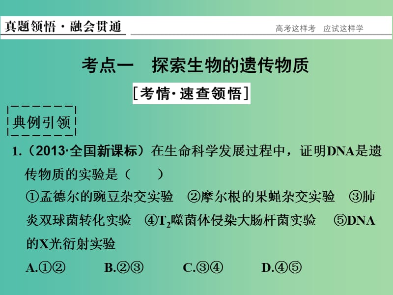 高考生物二轮复习 第三单元 专题一 遗传的分子基础课件.ppt_第3页