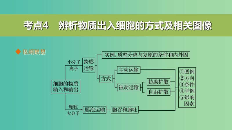 高考生物二轮复习 考前三个月 专题1 细胞的分子组成和结构 考点4 辨析物质出入细胞的方式及相关图像课件.ppt_第2页