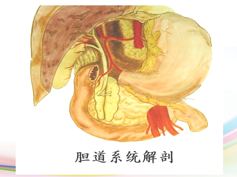 胆道疾病 (2)_第3页