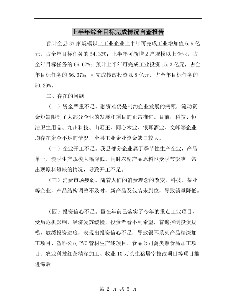 上半年综合目标完成情况自查报告.doc_第2页