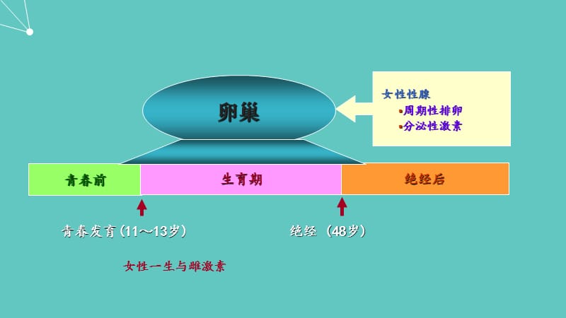 功能失调性子宫出血-北京协和医院妇产科 郁琦_第3页