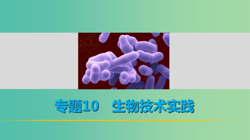 高考生物二轮复习 考前三个月 专题10 生物技术实践 考点31 微生物的利用及在传统发酵技术中的应用课件.ppt_第1页