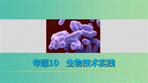 高考生物二輪復習 考前三個月 專題10 生物技術實踐 考點31 微生物的利用及在傳統(tǒng)發(fā)酵技術中的應用課件.ppt