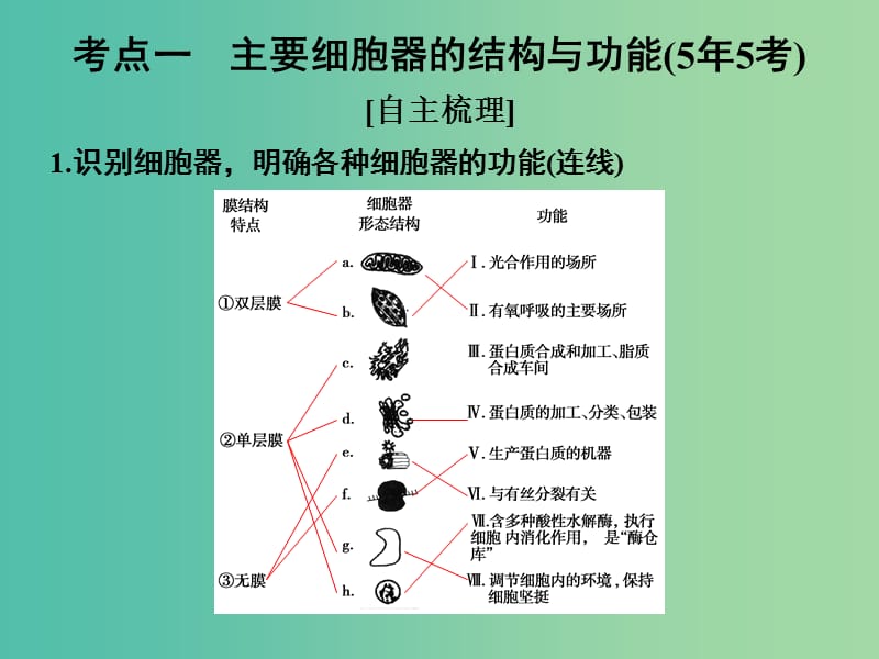 高考生物一轮复习 第二单元 细胞的基本结构与物质运输 第6讲 细胞器与生物膜系统课件.ppt_第2页