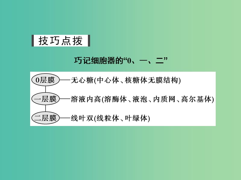 高考生物一轮复习 第二单元 细胞的基本结构与物质运输 第6讲 细胞器与生物膜系统课件.ppt_第3页