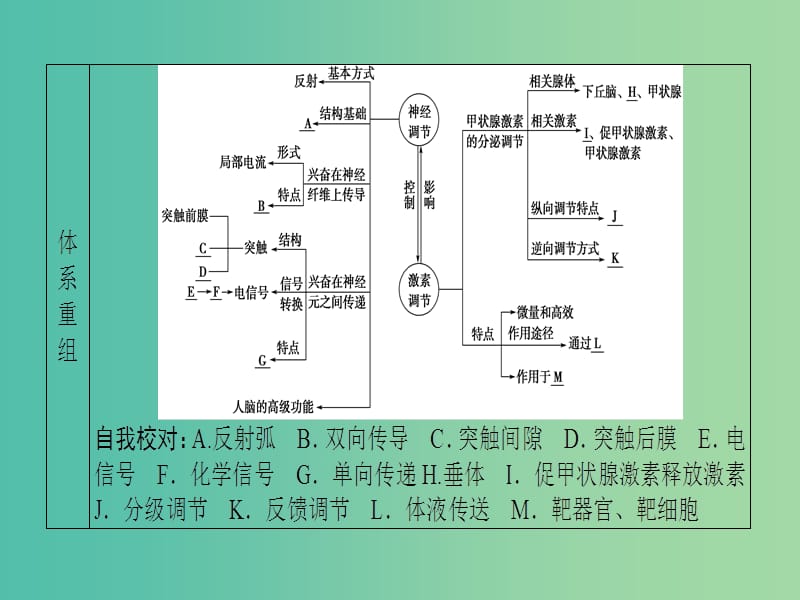 高考生物二轮复习 第1部分 专题5 第1讲 动物和人体生命活动的调节课件.ppt_第3页