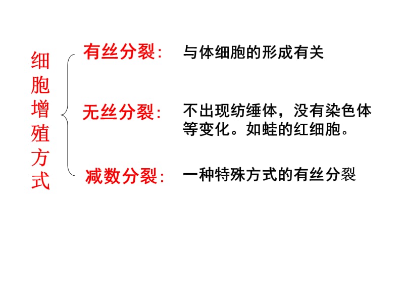 减数分裂与有丝分裂的比较.ppt_第2页