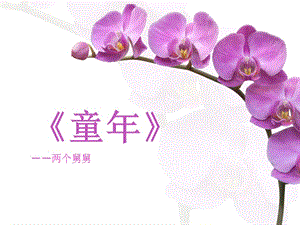 《童年》-分章節(jié)對(duì)兩個(gè)舅舅的性格特點(diǎn)概括.ppt