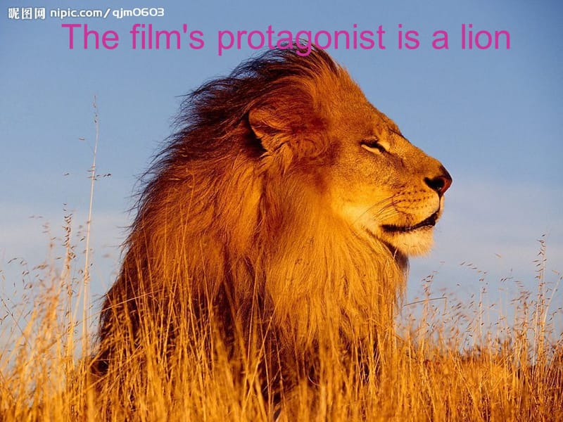 大学英语课上的ppt演讲：《lionking》(狮子王).ppt_第3页