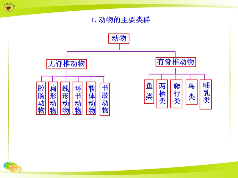 人教版八上生物知识框架.ppt_第1页