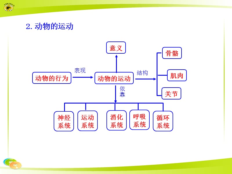 人教版八上生物知识框架.ppt_第2页