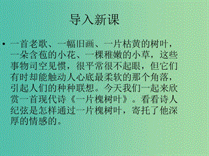 高中語文 第一單元 第3課《一片槐樹葉》課件 魯人版版選修《中國當(dāng)代詩歌選讀》.ppt