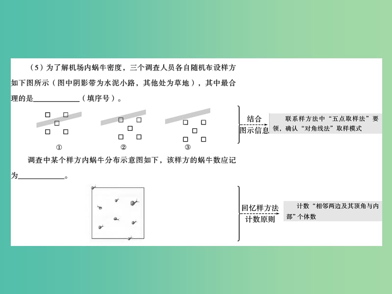 高考生物二轮专题复习 体系通关2 高频考点6 生态与环境课件.ppt_第3页