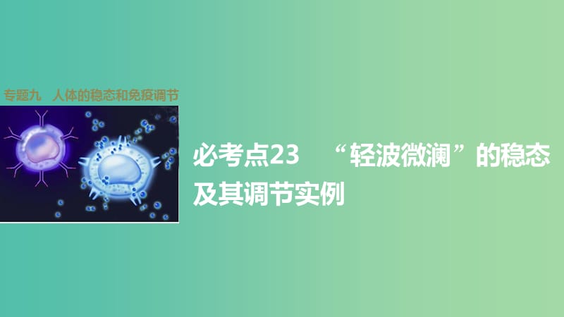 高考生物大二轮总复习 增分策略 专题九 必考点23“轻波微澜”的稳态及其调节实例课件.ppt_第1页