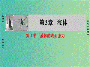 高中物理 第3章 液體 第1節(jié) 液體的表面張力課件 魯科版選修3-3.ppt