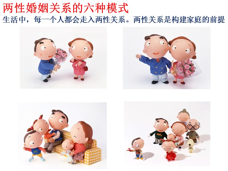 婚姻关系的六种模式了解.ppt_第2页