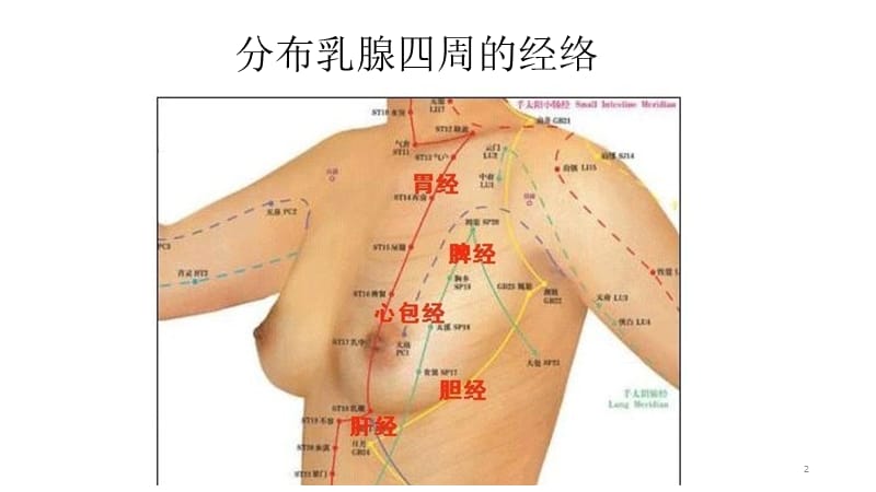 乳腺按摩ppt课件_第2页