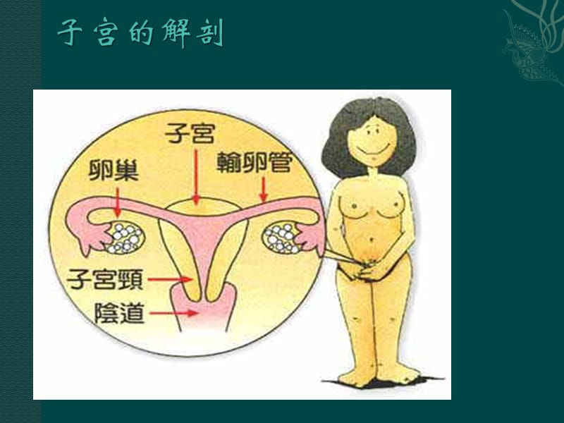 腹腔镜下子宫全切的术中配合及护理_第2页