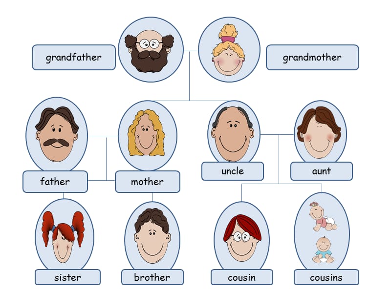 初中英语词汇-家族谱peters-family.ppt_第2页