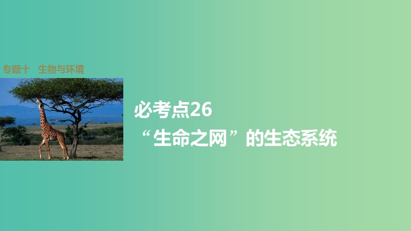 高考生物大二轮总复习 增分策略 专题十 必考点26“生命之网”的生态系统课件.ppt_第1页