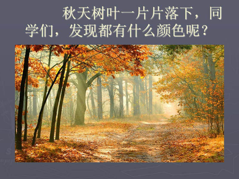 多变的色彩(渐变).ppt_第2页