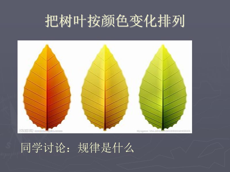 多变的色彩(渐变).ppt_第3页