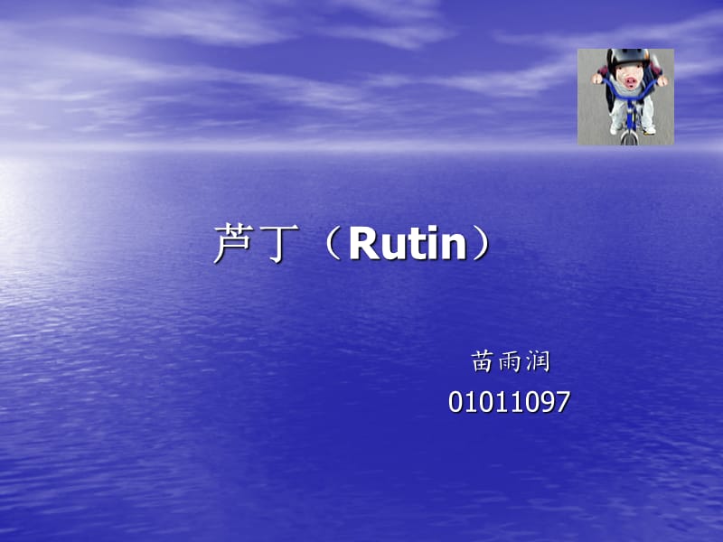 《芦丁Rutin》PPT课件.ppt_第1页