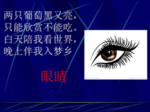 保護(hù)眼睛_預(yù)防近視