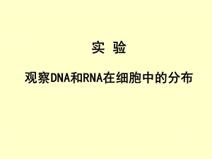 实验《观察DNA和RNA在细胞中的分布》.ppt