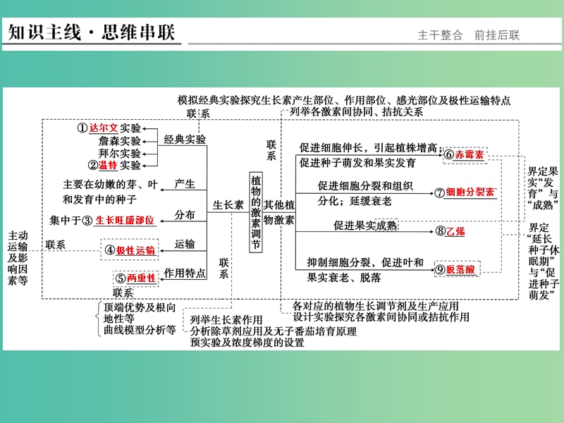 高考生物二轮复习 第四单元 专题三 植物生命活动的调节课件.ppt_第2页