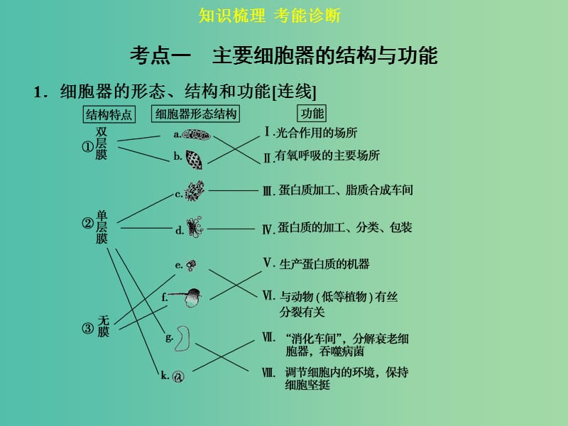 高考生物一轮复习 第二单元 第2讲 细胞器与生物膜系统课件.ppt_第3页