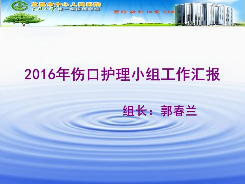 2016伤口小组总结.ppt_第1页