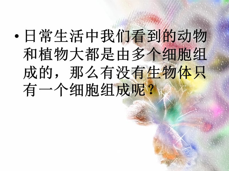 七年级生物《单细胞生物》课件.ppt_第2页