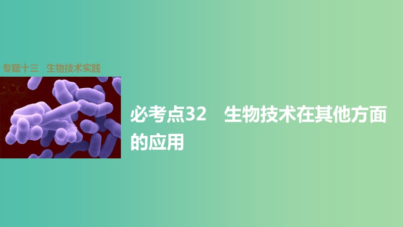 高考生物大二轮总复习 增分策略 专题十三 必考点32生物技术在其他方面的应用课件.ppt_第1页