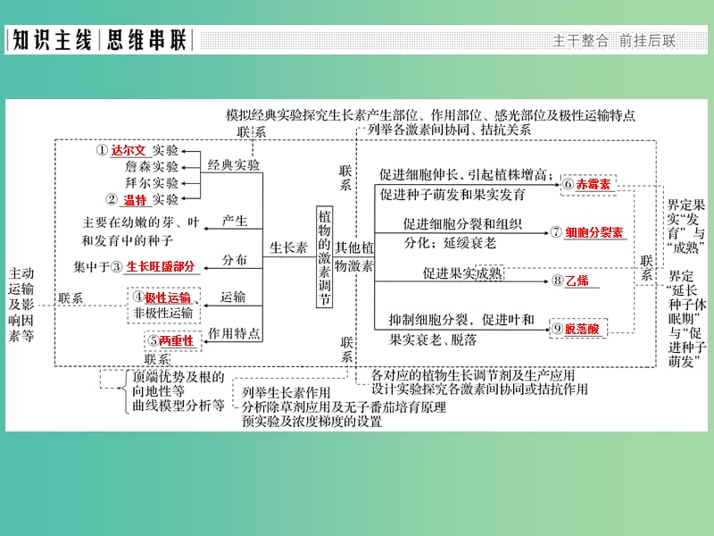 高考生物二轮复习 第五单元 个体生命的稳态基础 专题三 植物生命活动的调节课件.ppt_第2页